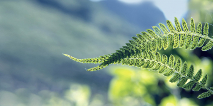 Emission.Veritas AG trägt mit SCR-Systeme und Steuerleitungen für Partikelfilter dazu bei, Fahrzeugabgase von Partikeln zu reinigen.